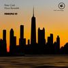 Principle V2 - Peter Zack&Klaus Benedek
