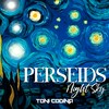 Perseids (In the Night Sky) - Toni Codina