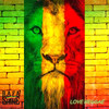 Love Reggae - Rafa Shine