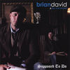 It Doesn't Always Go Right - Brian David&The SW Stomp