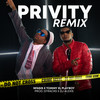 Privity (Remix) - Nfasis&Tommy el Playboy&Joel Garcia Dominguez