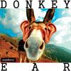 Roger Comes Alive (Original Mix) - Wisenevil