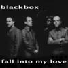 Fall into My Love (Radio Edit) - BlackBox