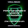 Por Vc Eu Bebo O Mar De Canudinho (Tik Tok Sped Up) (Remix) - Green Neon DJ