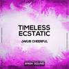 Timeless (Original Mix) - Jakub Cheerful