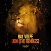 Lion (Dec3mber Remix) - Ray Volpe&Clinton Sly&Dec3mber