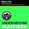 Everything You Need (Original Mix) - Paolo Viez