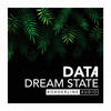 Dream State (Original Mix) - Data