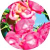 Funk infection rmx f. Martiniq - Frank Martiniq