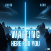 Waiting Here For You - CHXBB&ACKO&Aleksandar Mladenovic&Samuel Newbould