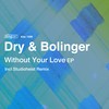 Without Your Love - Dry & Bolinger