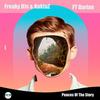 Peaces of the Story - Freaky DJs&Darian