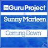 Coming Down (Original Mix) - The Guru Project&Sunny Marleen