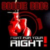 Fight For Your Right (DJ Anady vs. Sander Remix) - Boogie Bros