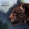 I Want More (Elegant Ape, G.Lef and Amy Kirkpatrick remix) - Elegant Ape&G.LEF&Amy Kirkpatrick