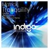 Tranquility (Bob Fanzidon Remix) - Matrick&Bob Fanzidon