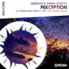 Perception (Edward Rohm Remix) - Airdream&Danny Legatto