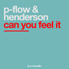 Can You Feel It (DJ Peter G. & The Clubjock Remix) - P-FLOW&Henderson