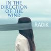 In the Direction of the Wind - Radik