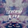 Cucaracha Blanca - Letkolben