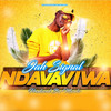 Ndavaviwa - Jah Signal