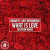 What Is Love (Deepsan Remix) - Raiwa&Kati Arzhanova&Deepsan