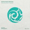 Monoverse (Original Mix) - Damon Rush&Biotones