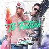 Te Fuistes - Pusho&Ozuna