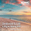 Lilly's Song (Nygma Remix) - Zerotonine&GAR&Nygma