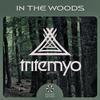 Wild Coyote (Original Mix) - Tritemyo