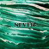 NEVER (Explicit) - Plame Okt