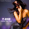 Catch The Vibe (Explicit) - T-Rob