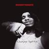 Brought Problems (Explicit) - Chayne Spitta