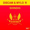 Shindig (Original Mix) - Discam&Mylo R