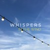 Whispers in the Wind (EDM Remix) - Aknil