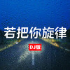 若把你旋律 (DJ版) - DJHY