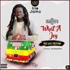 What a Joy (Irie Bus Riddim|Explicit) - Osagyefo&Irie Ites Studio&CaskeysOnit&Mokonla Musique