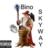 Xelsius (Explicit) - BINO SKYWAY