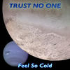 Feel So Cold(Simon Heartfield Rework II) - Trust No One