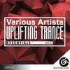 Transition (Extended Mix) - Dyukanya