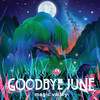 You Don’t Love Me Like Before - Goodbye June