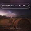 Thundering And Rainfall (Original Mix) - Forest Therapy