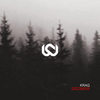 Dizziness - Krag