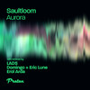 Ethereal (Domingo + Eric Lune Remix) - Saultloom&Domingo +&Eric Lune