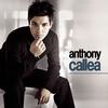 Take It To The Heart - Anthony Callea