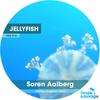 Jelly Fish (Original Mix) - Soren Aalberg