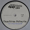 Let's Play House - Camblom Subaria