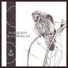Bullfrog (Alessandro Diruggiero Remix) - Dubquest