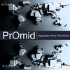 Destiny (Dub Version) - PrOmid