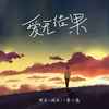 爱无结果 (DJR7版) - 袁小葳&阿辰（阎辰）